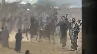 خيول راحلت عن الصوابي ولاكن من اعظم الخيول