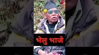 bhelu baje interview #subscribe #shorts #nepali #viral #video #comedy