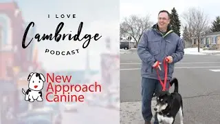 Meet Mike Embry from New Approach Dog Training | I Love Cambridge
