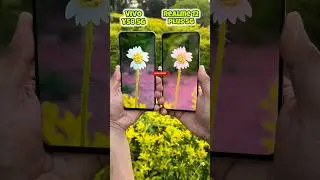 Vivo Y58 5g vs Realme 12 Plus 5g Camera Test (2X Zooming) #shorts