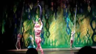 Seaworld - Acrobatic Show