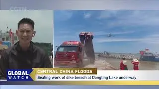 Sealing work of dike breach at Dongting Lake underway