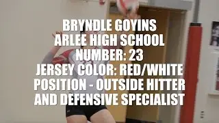 Bryndle Goyins 2016 Arlee High School Volleyball