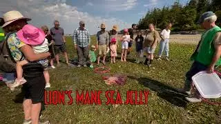 A Low Tide Beach Walk with Cama Beach Foundation