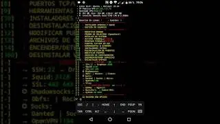 COMO CREAR UNA REDIRECCION SSL (Stunnel)