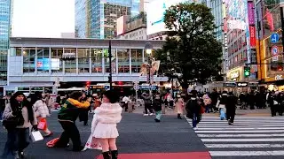 Shibuya evening view & walking tours. Tokyo, Japan. 