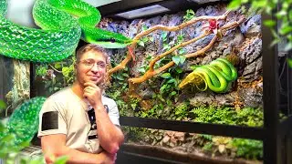 Terrarium XXL, on à fait un décor incroyable (serpent, crabe, poisson) (Partie 1)