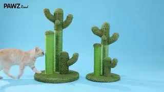 PAWZ Road cactus scratching post cat tree AMT0066GN