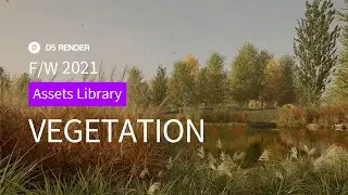 Asset Library Updates｜Vegetation FW 2021｜D5 Render