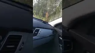 Kahden astmaatikon laulut 20210905