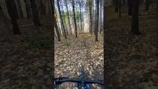 Biking tho the forest #canada #mtb #mountainbike #forest #bike #trail #biking