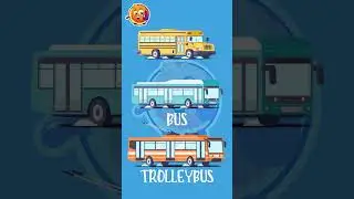 Types of street vehicles Bus Trolleybus #shorts