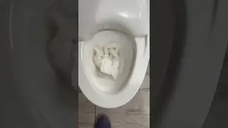 Toto neorest toilet tp test