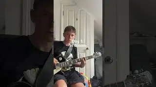 Doing a nirvana riff every day for 30 days #grunge #guitar