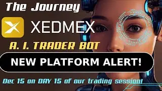XedMex Dec 15th Through Review of Passive Income
