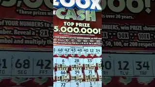 winner #17