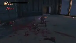 NG2B and NG4 RYU True Dragon Sword UT