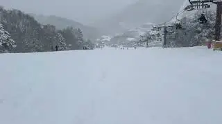 2024/12/7 志賀高原　熊の湯スキー場