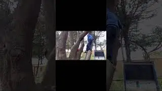 LA GRAN AVENTURA DE LUCAS || Producto TACFI 2024