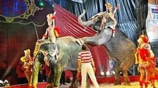 stuntman 14 | circus magic show | powerful magician performance | family entertainment