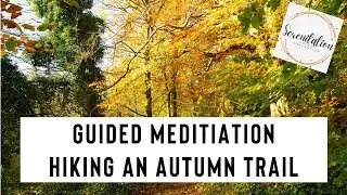 Autumn Nature Trail Guided Meditation 🍁 Journey Through Fall's Vibrant Colors & Serenity