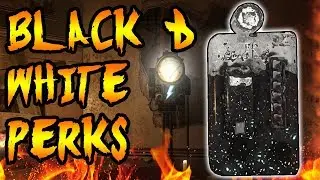 Are The PERK MACHINES REAL! MOB OF THE DEAD EASTER EGG! Call of Duty Black Ops 2 Zombies Storyline