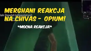 MERGHANI reakcja na 