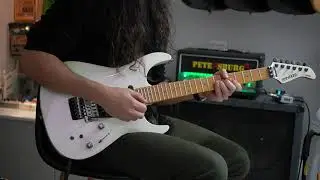 Fernandes FR-55S PPW