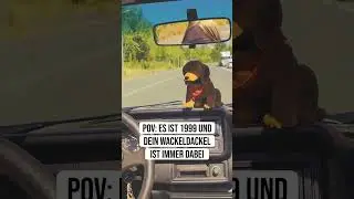 💛 Wir lieben Wackeldackel 💛