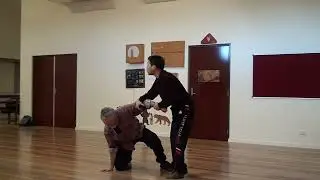 《短捶》实用技法（2）The practical techniques of 