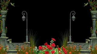 Background Video effects hd /Garden Background / Flower Effect Black Screen /Nature Background Video