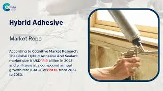 Hybrid Adhesive And Sealant Market Report 2024 (Global Edition)