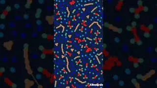 #relaxed #particle #particlelife #искусственнаяжизнь #расслабление #частицы