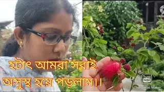 Bengali Vlog //Powder Puff Plant Care...