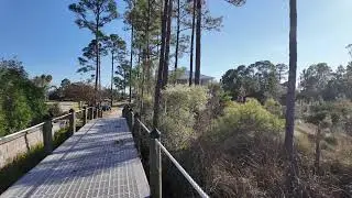 Ono Island Homes for Sale in Orange Beach, Alabama | Waterfront Living and Market Insight