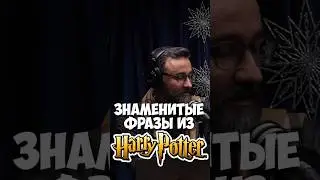ОЧЕНЬ ЧАСТО ПРОСЯТ ПРОИЗНЕСТИ ЭТИ ФРАЗЫ ➤ Голоса ГАРРИ ПОТТЕРА про цитаты из франшизы