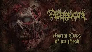 PUTREVORE - Mortal Ways of the Flesh (Official Visualizer) [2025]
