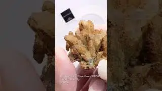 Prase Quartz Coated with Limonite Cluster MM90R