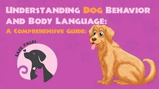 Understanding Dog Behavior and Body Language
