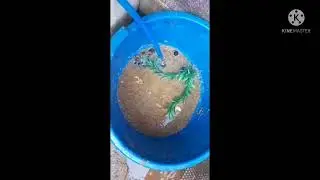 the tank i was made form plastic basket