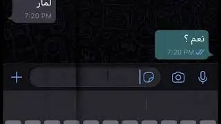 𝑀𝑆 𝑑𝑜𝑑𝑜