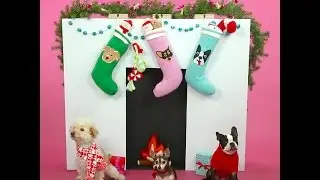 How to DIY Dog Stocking