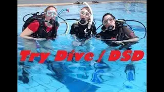 Try diving video