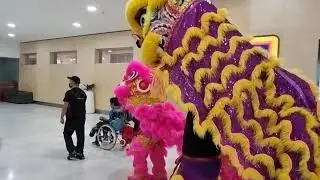 Sydney - lunar new year lion dance , Marrickville metro shopping centre.