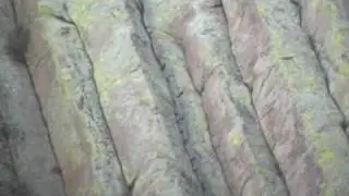 Devils Tower Climbing Ladder