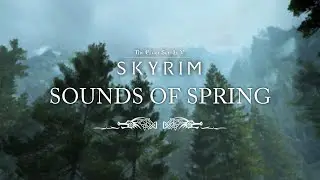 Sounds of Spring | Peaceful Skyrim Nature Only Ambience | Sleep, Study, Relax | 5 Hours