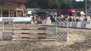 Imperial Horse Club