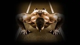 - ENORMOUS STAMINA - Binaural Performance Support (Increased Endurance, Reduced Fatigue/ Exhaustion)