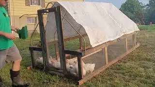 Check out our chicken tractor