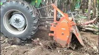 ROTOKING KUMKI BANANA SPECIAL ROTAVATOR செவ்வாழை மரத்தை பொடிப்பொடியாக வெட்டுகிறது